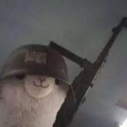 Alpaca Tóxica's Stream profile image