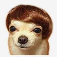 IhaveaBigdong99's Stream profile image