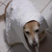 Anderson's Stream profile image