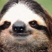 bilbo_slothins's - Steam avatar