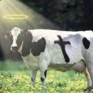 Holy Cow's - Steam avatar