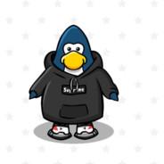 野生五花肉's Stream profile image