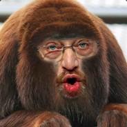 Rüttelplattenfahrer404's Stream profile image