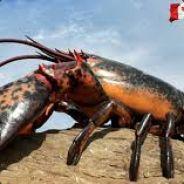 shortiejc's Stream profile image