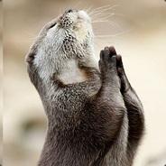 Das Otter's Stream profile image