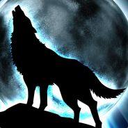 RauJackal's Stream profile image