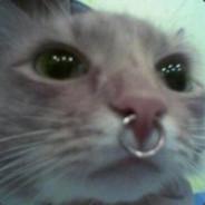 MasteX's - Steam avatar