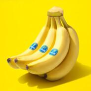 jaco.barto06's Stream profile image
