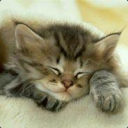 MonEwok's - Steam avatar