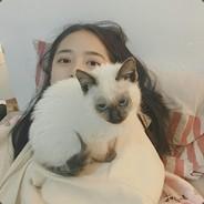 skyings's Stream profile image