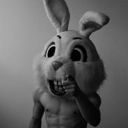 nicogoot's Stream profile image