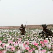 Volshebniy Ukr's - Steam avatar