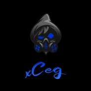 xCeg's Stream profile image