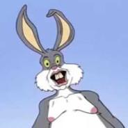 MR Wabbit's Stream profile image