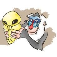 kakunamatata's Stream profile image