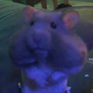 Humlan's Stream profile image