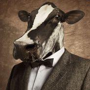 Mad-Cow's - Steam avatar