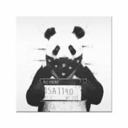 [SJS] Bad Panda's Stream profile image