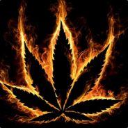 Vodkismo's Stream profile image