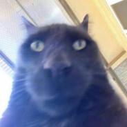 aaronnmn's Stream profile image