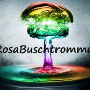 RosaBuschtrommel | Paul's Stream profile image