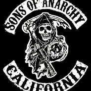 SOA Serj's Stream profile image