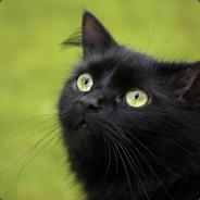 FurryBlackCat's - Steam avatar