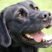 Smerige Hond's - Steam avatar