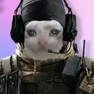 The sad cat's Stream profile image