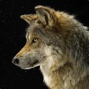 CzechNoris's - Steam avatar