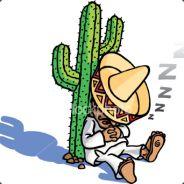 Siesta's Stream profile image