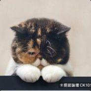 Smallwhite777's Stream profile image