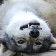 Lwerewolf's - Steam avatar