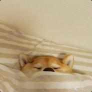 hihipopoo's Stream profile image