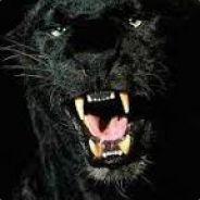 Jaguar's Stream profile image