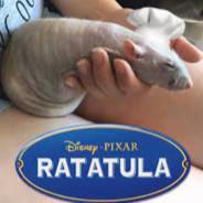 Ratatula III's - Steam avatar