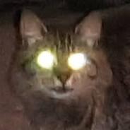 Arcagex's Stream profile image
