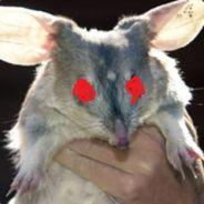 ~BilBy~'s Stream profile image