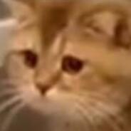 Philias's Stream profile image