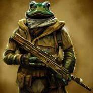 FROGSOFWAR's - Steam avatar