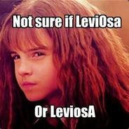 WINGARDIUM LEVIOSA's - Steam avatar