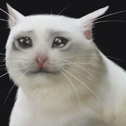 R0b0noob's Stream profile image