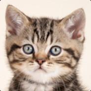 KonTheCat's Stream profile image