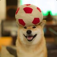 S-P-WissenDoge's Stream profile image