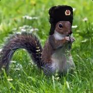 Soviet Squirrel ☭'s - Steam avatar