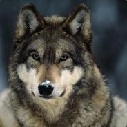 WalfTheWolf's Stream profile image