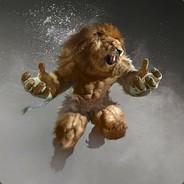 XWDR's - Steam avatar