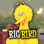 big bird's Stream profile image