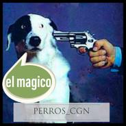 elmagico's Stream profile image