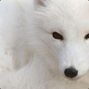 NeireX's - Steam avatar